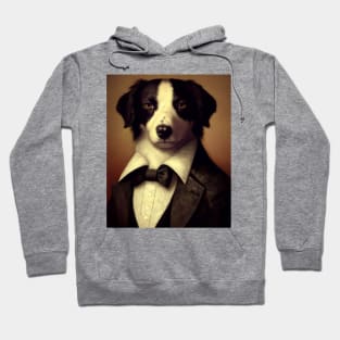 Portrait of a Bordercollie in a tuxedo Hoodie